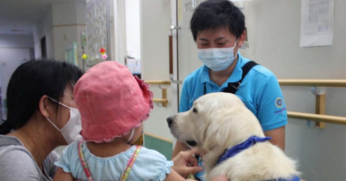 寄り添う犬 心の支えに 日本経済新聞