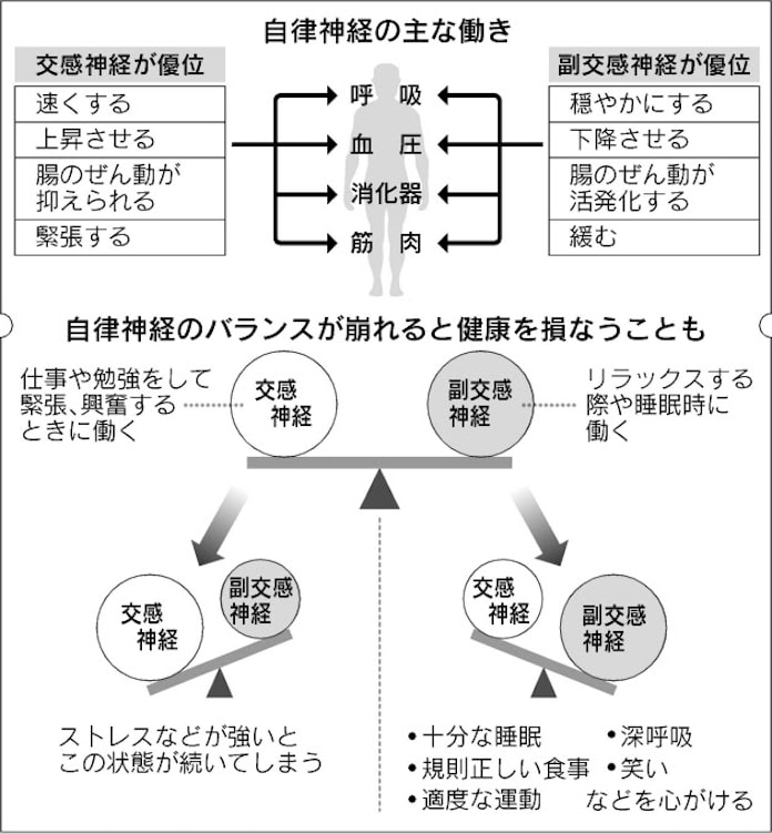 冬悩ましい便秘や風邪 自律神経の乱れ原因 日本経済新聞