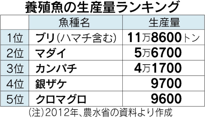 ハマチ卸値7割高 日本経済新聞