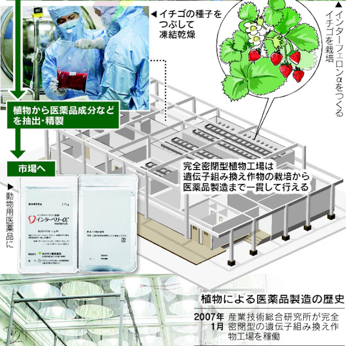 日本経済新聞