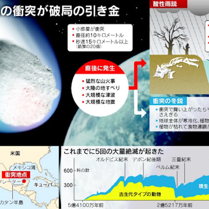 恐竜絶滅 酸性雨説が浮上 日本経済新聞 恐竜絶滅 酸性雨説が浮上 日本経済新聞