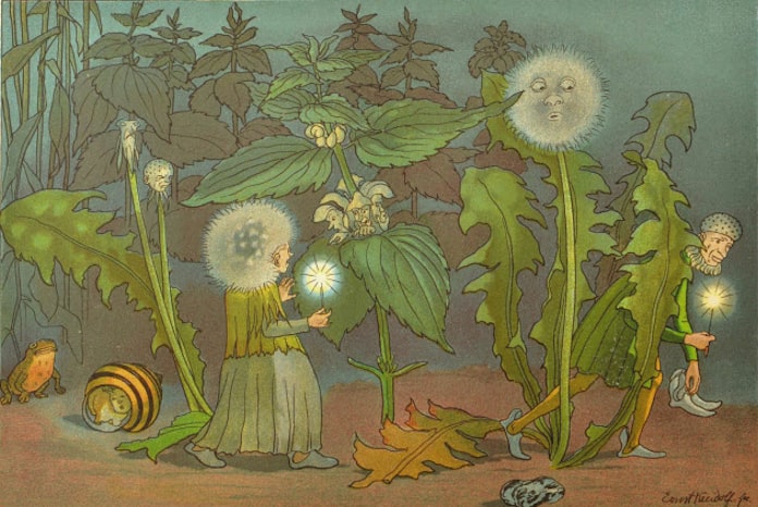 植物幻想十選 6 クライドルフ 花のメルヘン より 夜のぬすびと 日本経済新聞 植物幻想十選 6 クライドルフ 花のメルヘン より 夜のぬすびと 日本経済新聞