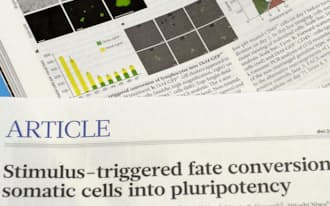 英科学誌ネイチャーに掲載され、小保方晴子氏が撤回に同意したSTAP細胞の主要論文