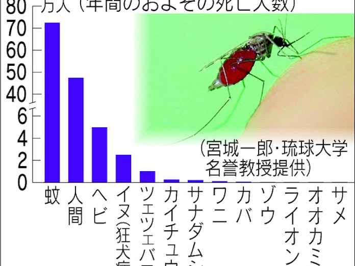 最も恐ろしい生物は蚊 日本経済新聞