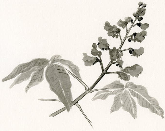 街づくり ミニ図書館の効用 日本経済新聞