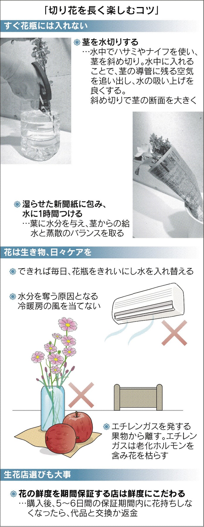 切り花も 家族 毎日ケア 日本経済新聞 切り花も 家族 毎日ケア 日本経済新聞