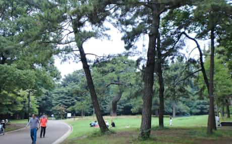 渋谷区 代々木公園にこども園 日本経済新聞