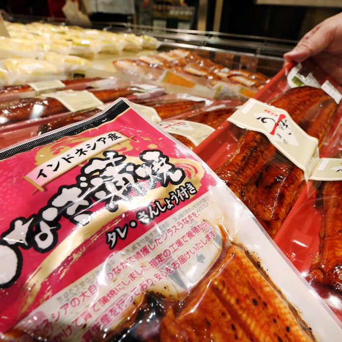 ジャワ島産ウナギが存在感 日本経済新聞 ジャワ島産ウナギが存在感 日本経済新聞