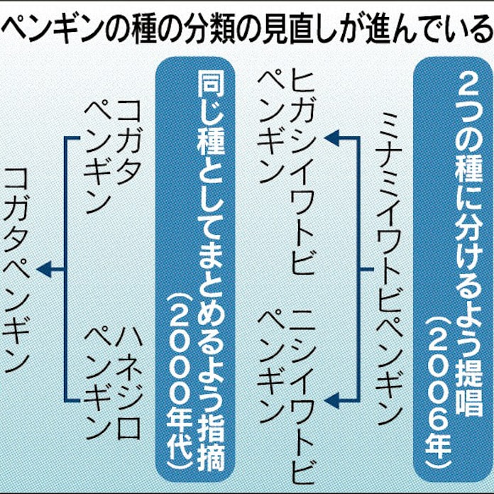 最新解析 ペンギン何種類 日本経済新聞 最新解析 ペンギン何種類 日本経済新聞