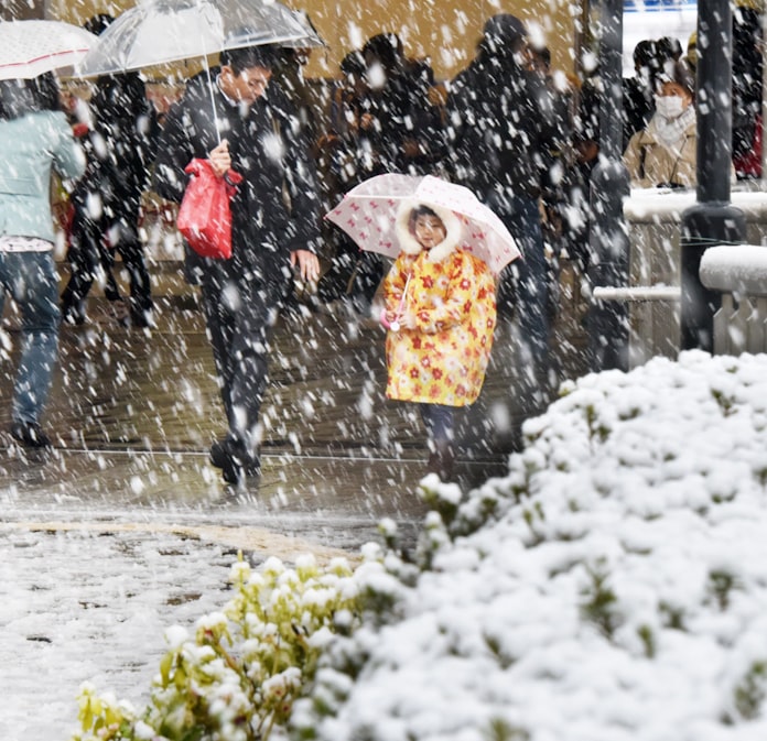 都心に秋の積雪 11月で初めて 日本経済新聞 都心に秋の積雪 11月で初めて 日本経済新聞