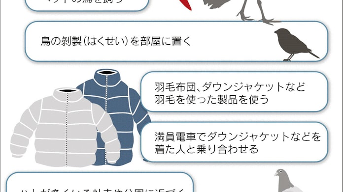 羽毛布団出したらコホッコホッ 熱も出た 鳥アレルギーの肺炎かも 日本経済新聞 羽毛布団出したらコホッコホッ 熱も出た 鳥アレルギーの肺炎かも 日本経済新聞