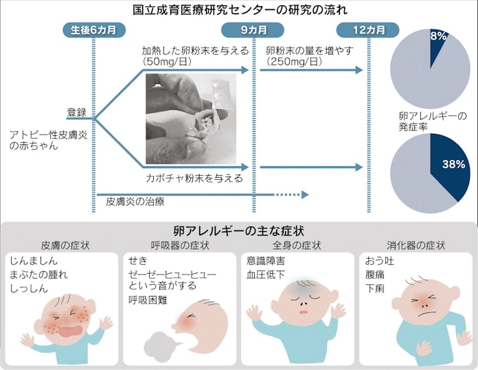 卵アレルギー 乳児から少量食べて予防 日本経済新聞 卵アレルギー 乳児から少量食べて予防 日本経済新聞