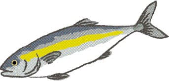 ブリ 日本経済新聞