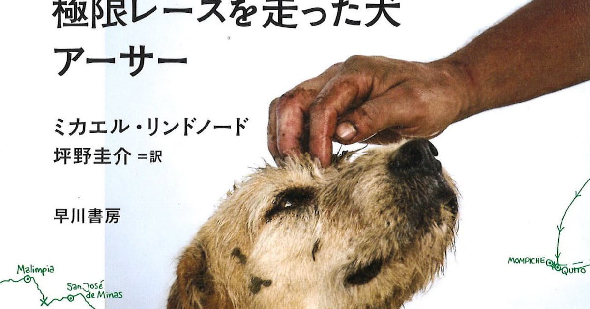 ジャングルの極限レースを走った犬 アーサー ミカエル リンドノード著 日本経済新聞 ジャングルの極限レースを走った犬 アーサー ミカエル リンドノード著 日本経済新聞