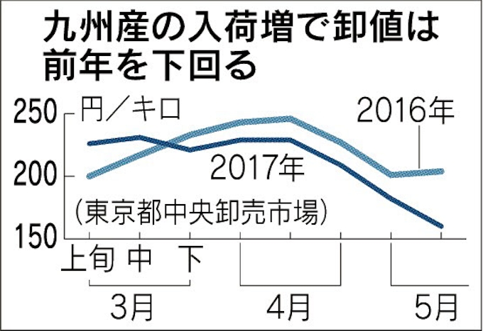 ジャガイモ卸値 高騰が一段落 日本経済新聞