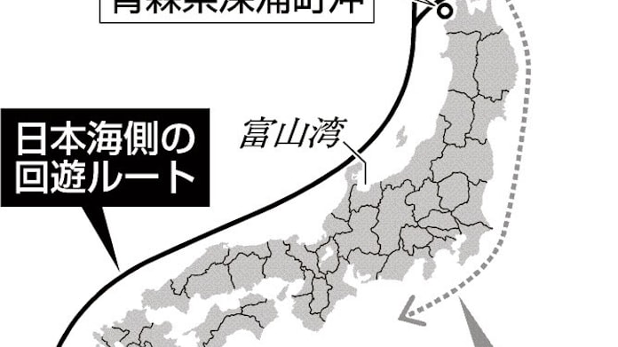 Xfgxu5w1zwg6nm Xfgxu5w1zwg6nm