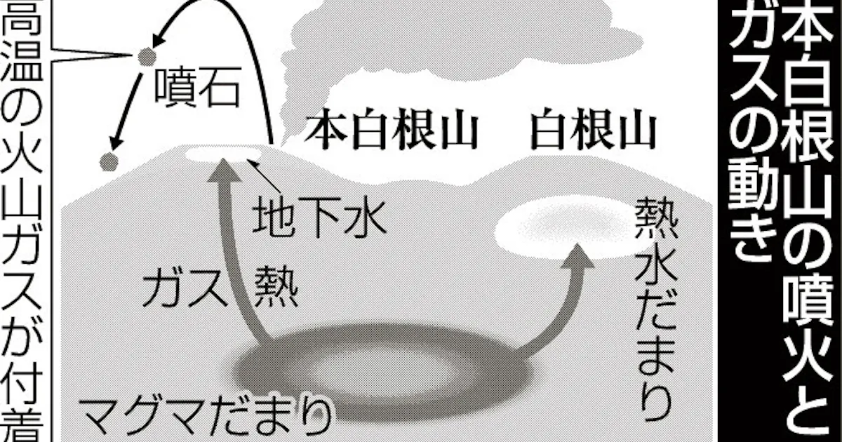 火山ガス上昇で噴火か 草津白根山 日本経済新聞 火山ガス上昇で噴火か 草津白根山 日本経済新聞
