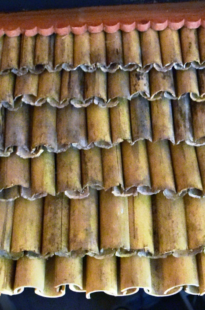 竹の瓦 日本経済新聞 竹の瓦 日本経済新聞