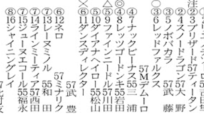 レッツゴードンキ4枠8番 日本経済新聞 レッツゴードンキ4枠8番 日本経済新聞
