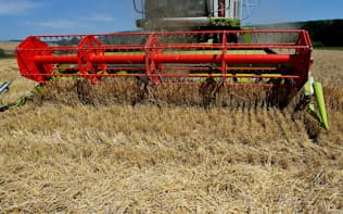 小麦の主要生産国ドイツでは収穫量が落ち込みそうだ=ロイター
