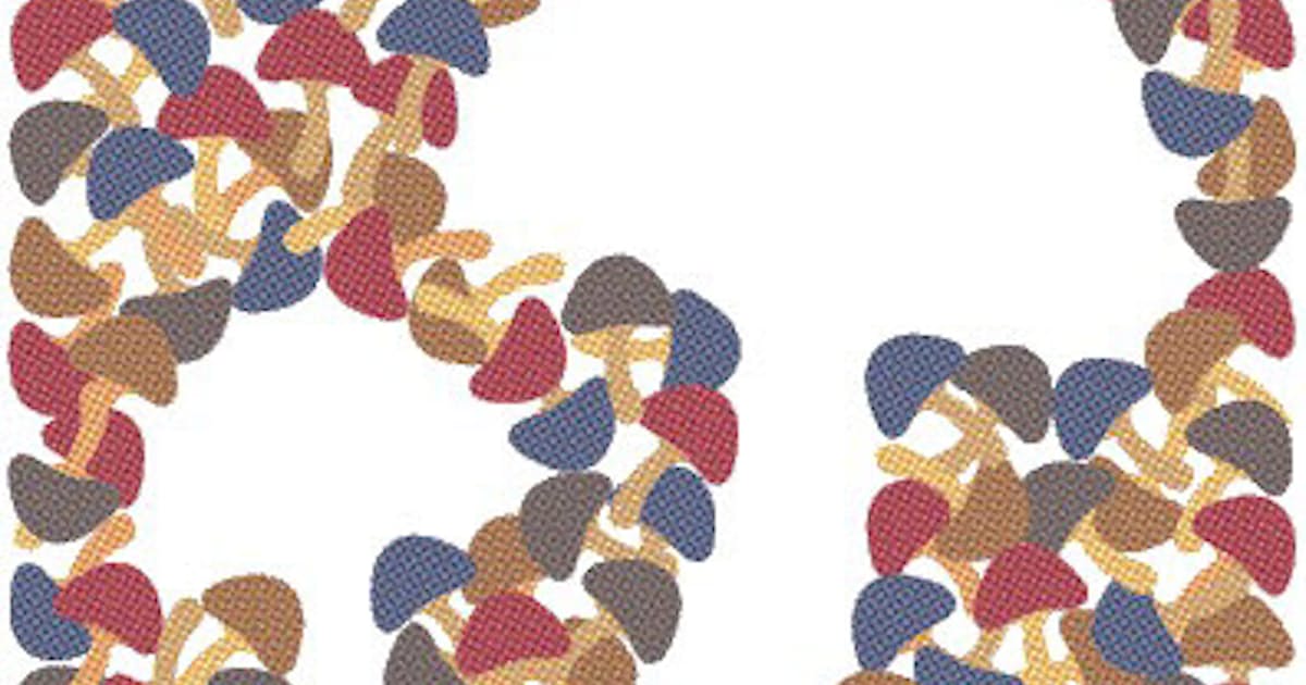 点字以前の事 広瀬浩二郎 日本経済新聞 点字以前の事 広瀬浩二郎 日本経済新聞