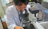 東京大学はCAR-T療法を改良し、効果を高めた
