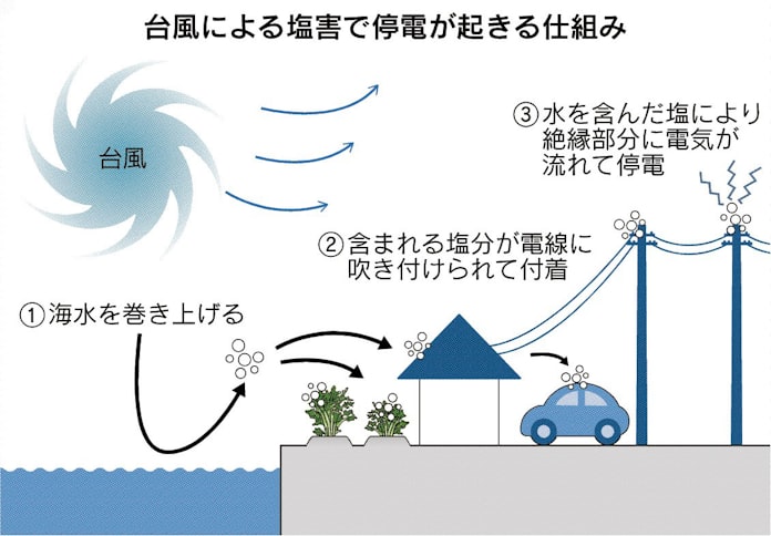 台風で 塩害 生活むしばむ 日本経済新聞 台風で 塩害 生活むしばむ 日本経済新聞