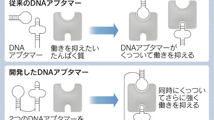 日本経済新聞