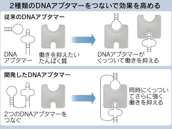 日本経済新聞