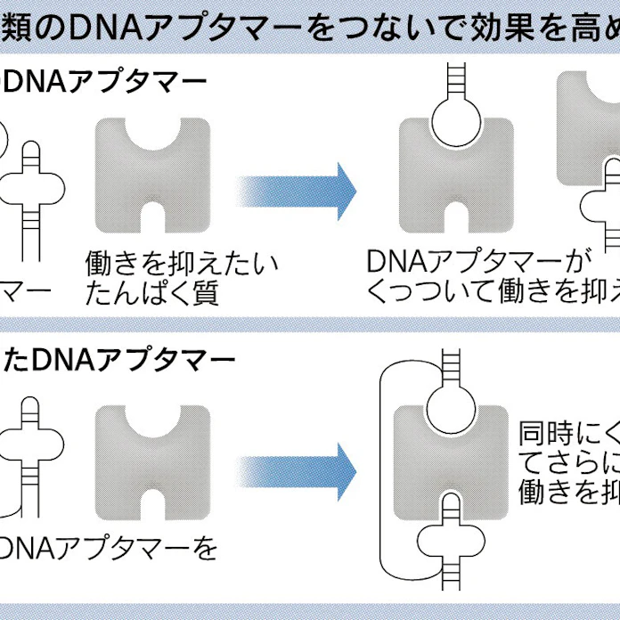 日本経済新聞