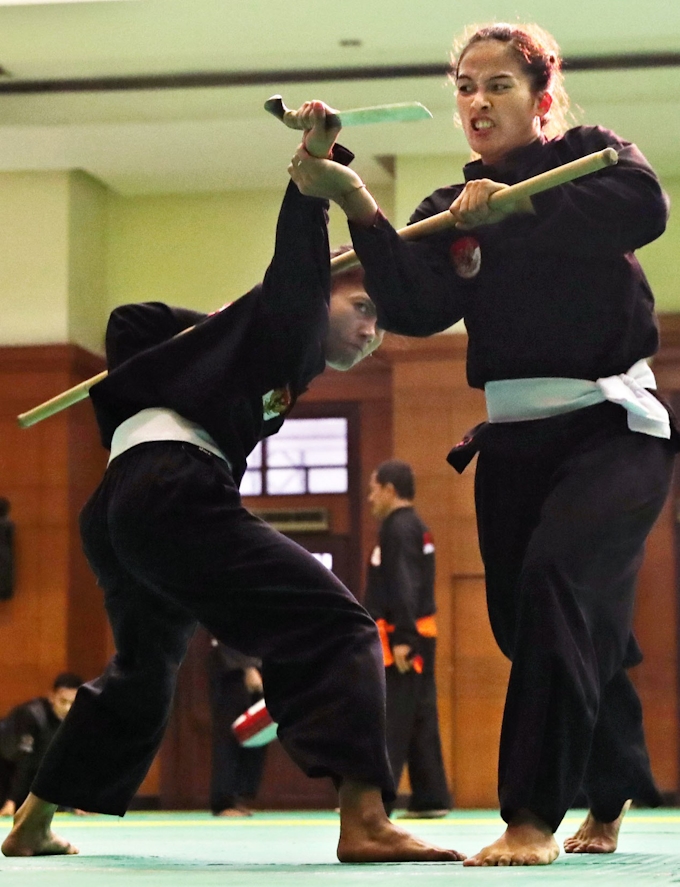 最強の格闘技 再び脚光 日本経済新聞