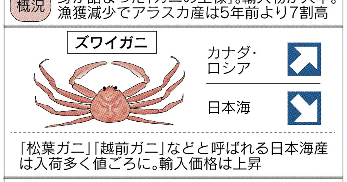 日本海のズワイガニ 卸値2割安 日本経済新聞 日本海のズワイガニ 卸値2割安 日本経済新聞