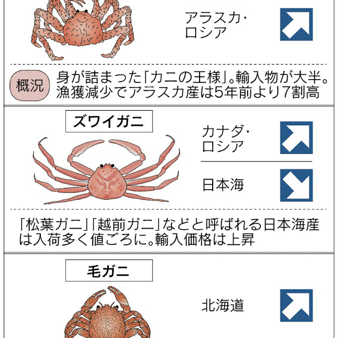 日本海のズワイガニ 卸値2割安 日本経済新聞 日本海のズワイガニ 卸値2割安 日本経済新聞