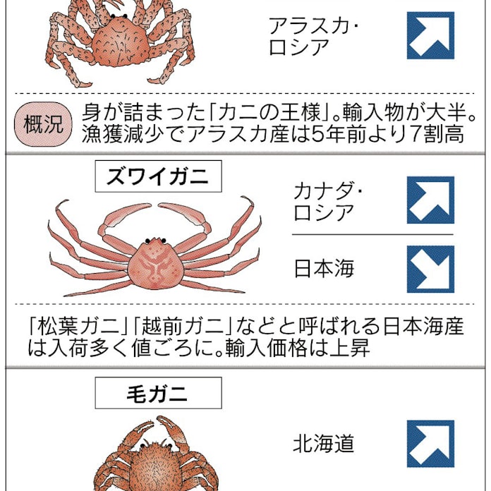 日本海のズワイガニ 卸値2割安 日本経済新聞