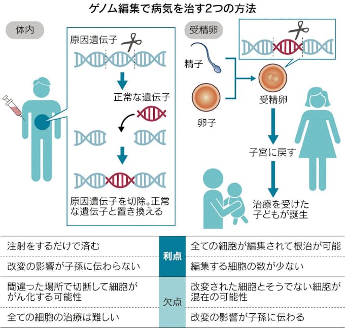 進むdna研究 倫理問う 日本経済新聞