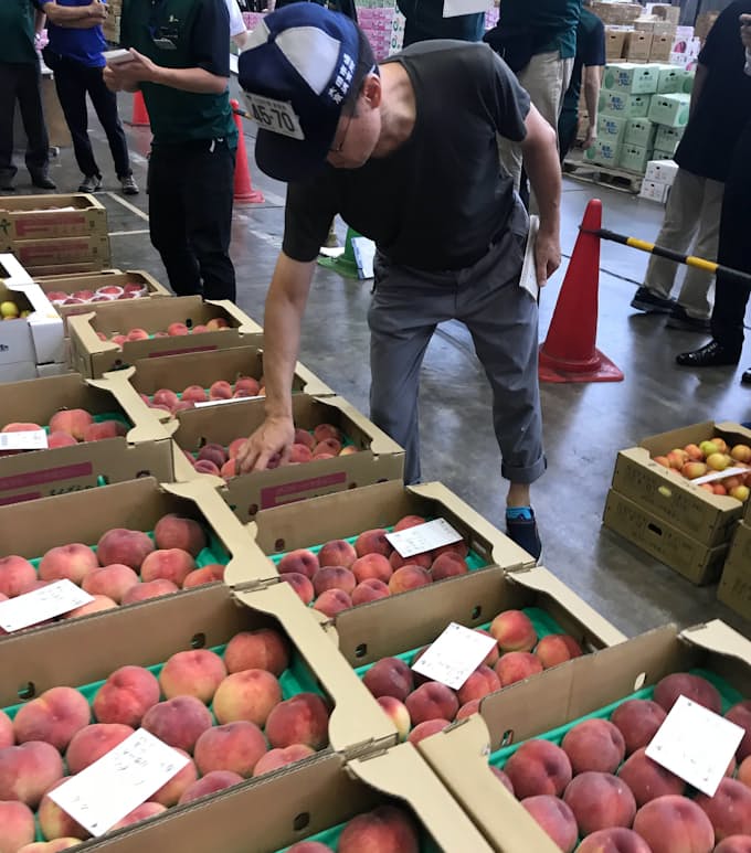 夏果実 梅雨寒で値下がり 日本経済新聞