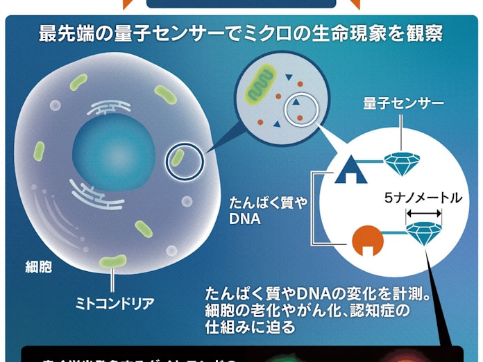 生命の謎 量子力学で迫る 日本経済新聞 生命の謎 量子力学で迫る 日本経済新聞