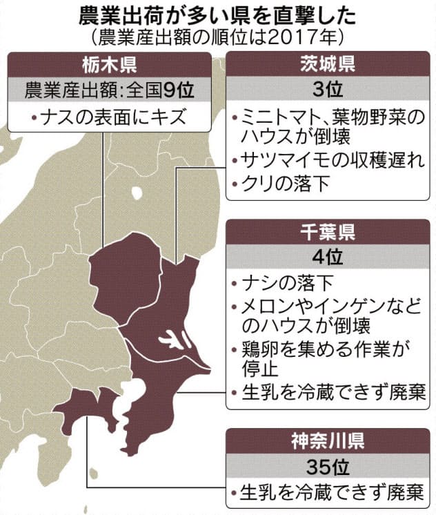 野菜 果物 台風で高騰 ナシ3割 ミニトマト7割 卸価格月初比 停電 畜産物にも影響 日本経済新聞