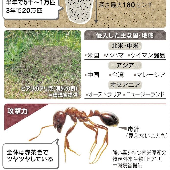 ヒアリ 国内定着防げるか 日本経済新聞 ヒアリ 国内定着防げるか 日本経済新聞