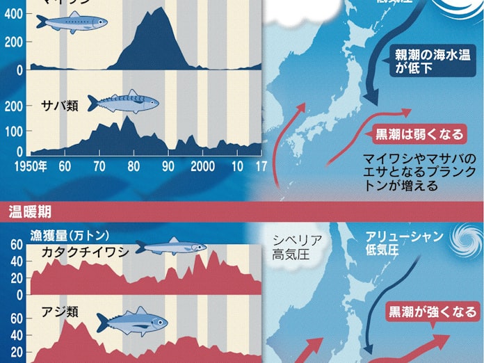 漁を左右 魚種交代 の謎 日本経済新聞 漁を左右 魚種交代 の謎 日本経済新聞