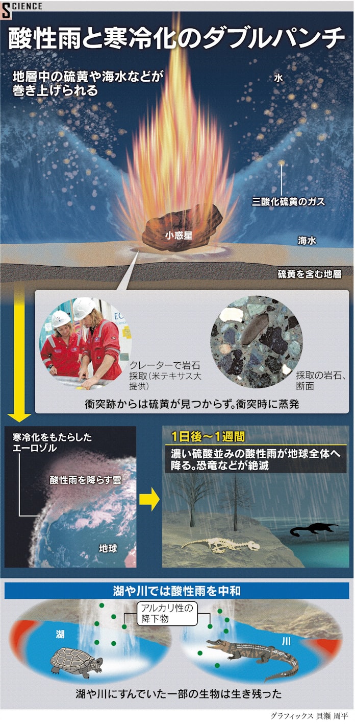 恐竜絶滅 酸性雨も原因 日本経済新聞