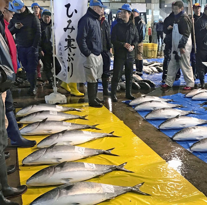 天然ブリ 豊漁3割安 日本経済新聞