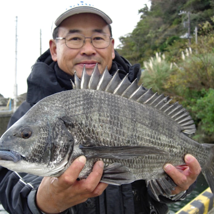 出世魚の呼び名 日本経済新聞 出世魚の呼び名 日本経済新聞