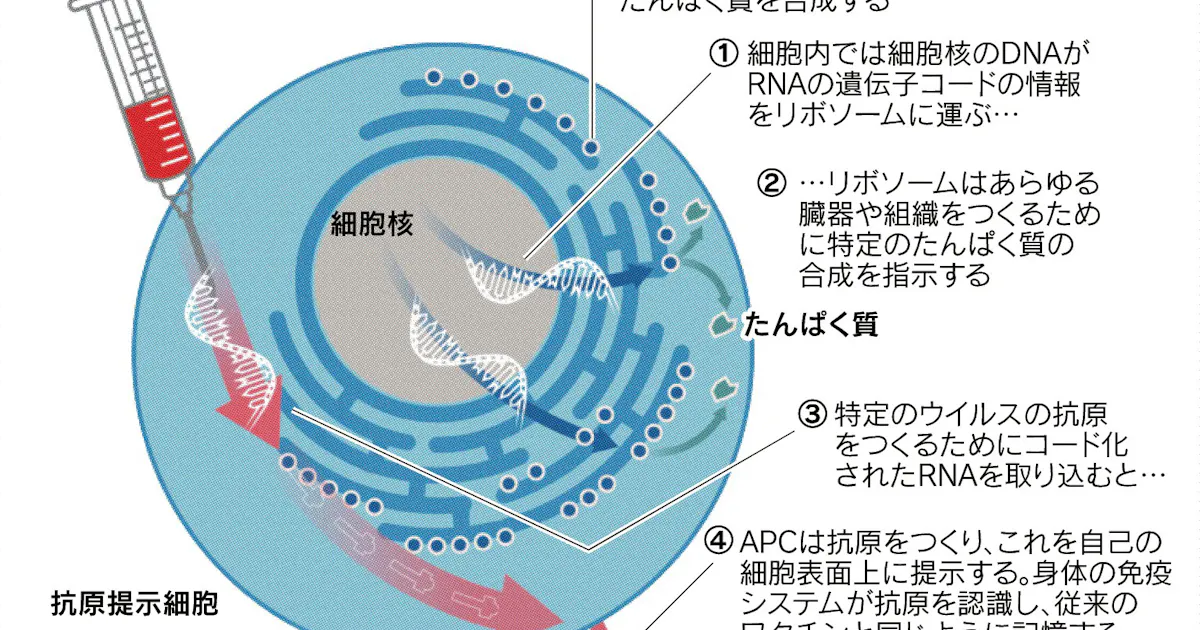 日本経済新聞