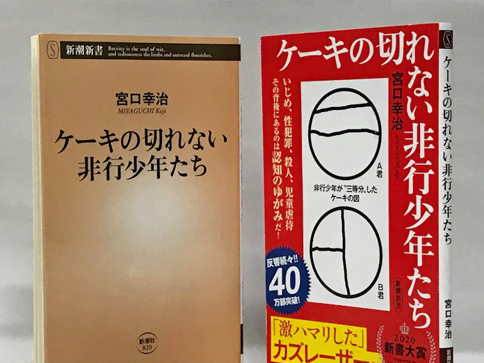 ケーキの切れない非行少年たち 宮口幸治著 日本経済新聞