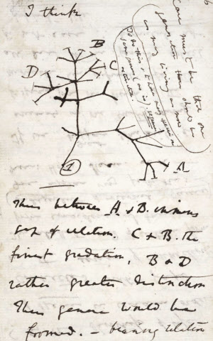 ダーウィンのノート 英大図書館で発見 22年ぶり 日本経済新聞 ダーウィンのノート 英大図書館で発見 22年ぶり 日本経済新聞