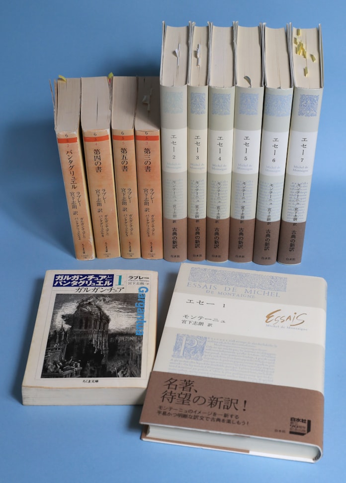 仏文学者 宮下志朗 5 日本経済新聞 仏文学者 宮下志朗 5 日本経済新聞