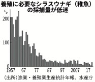 実れ フードテック 第2部 養殖で耕す 下 うなぎ 卵 成魚へ うなる道 日本経済新聞 実れ フードテック 第2部 養殖で耕す 下 うなぎ 卵 成魚へ うなる道 日本経済新聞