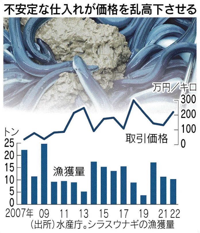 ウナギ 人工授精で稚魚に成長 養鰻業者初 安定生産に道 日本経済新聞 ウナギ 人工授精で稚魚に成長 養鰻業者初 安定生産に道 日本経済新聞