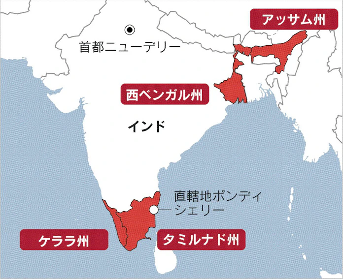 インド農園で賃上げ要求 紅茶産地のアッサム州 日本経済新聞